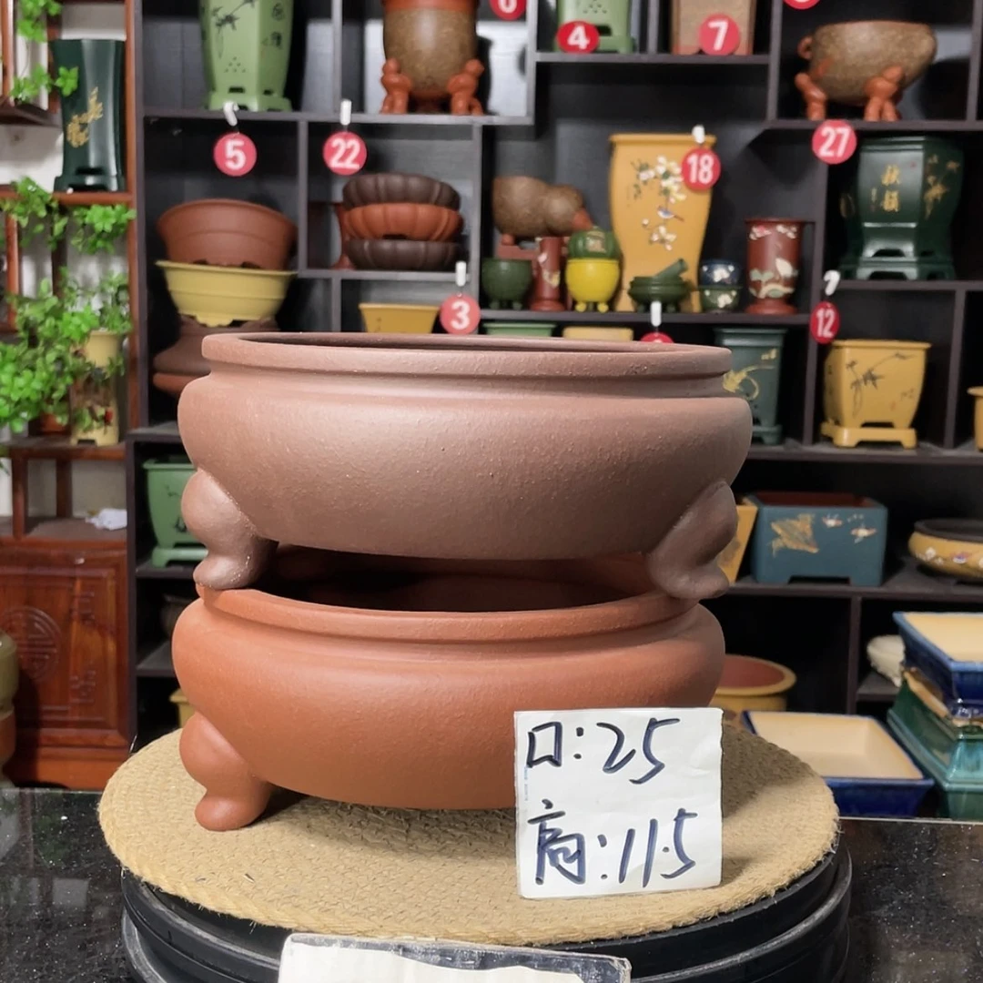 【闪购商品】紫砂15cm以下