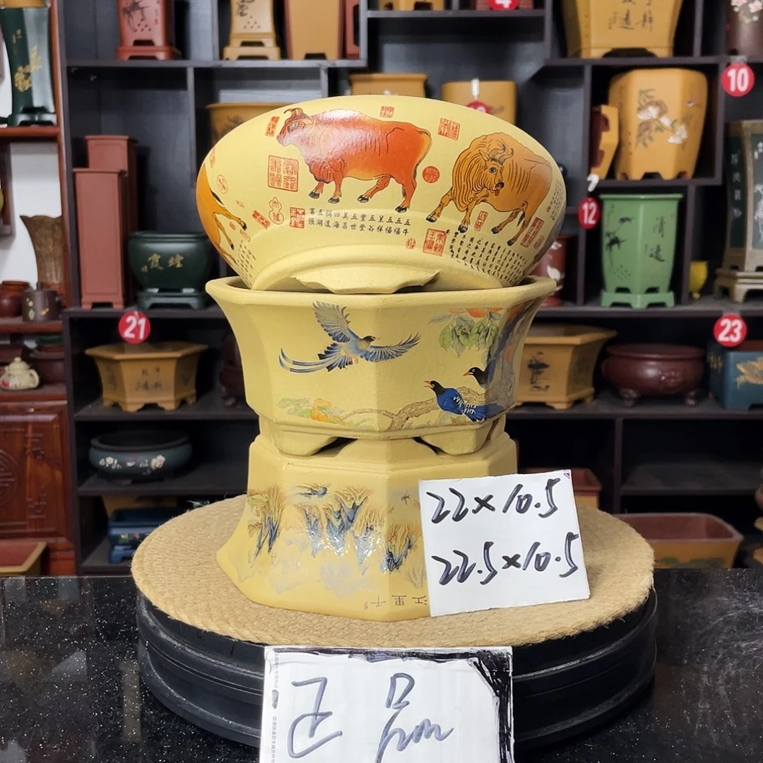 紫砂20CM（含）-50CM（不含）