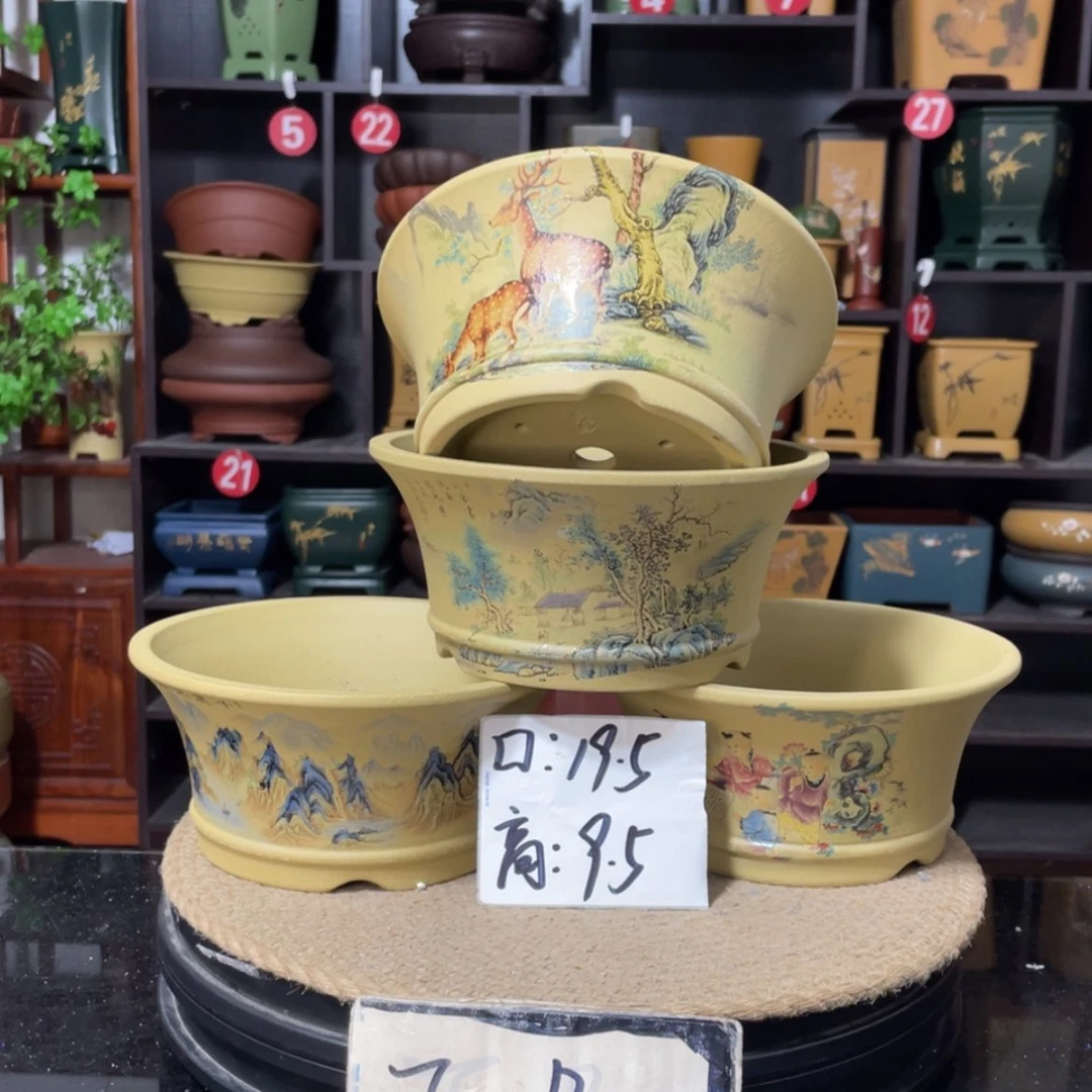 【闪购商品】紫砂15cm以下