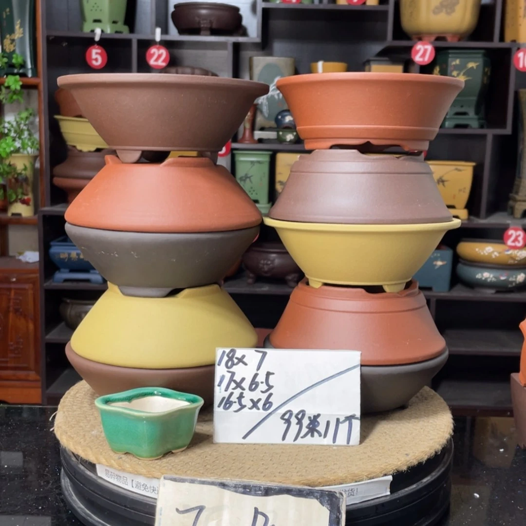 【闪购商品】紫砂15cm以下