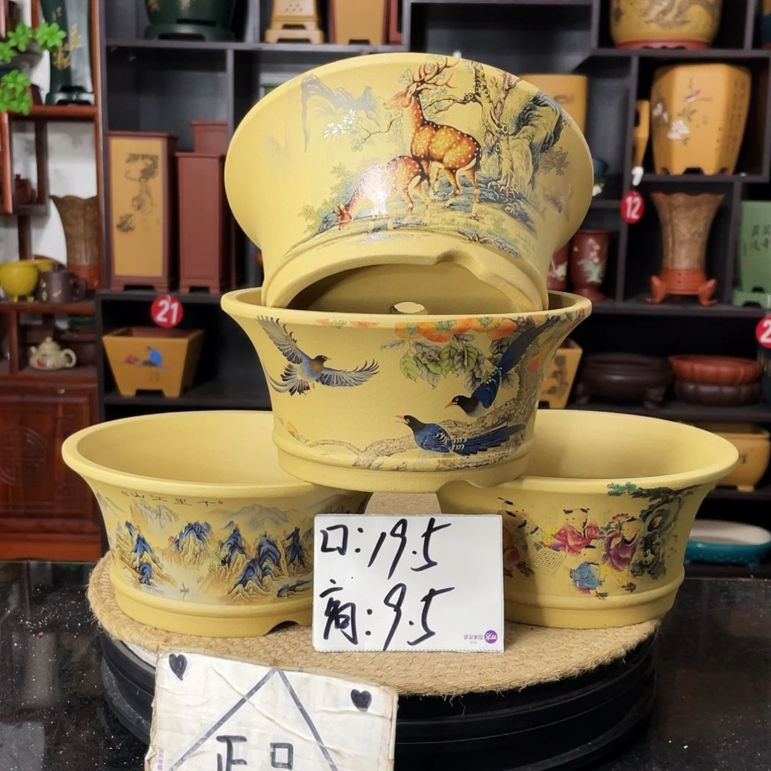 紫砂20CM(含)-50CM(不含)