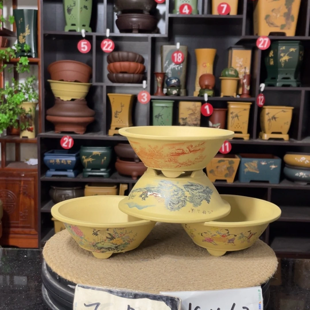 【闪购商品】紫砂15cm以下