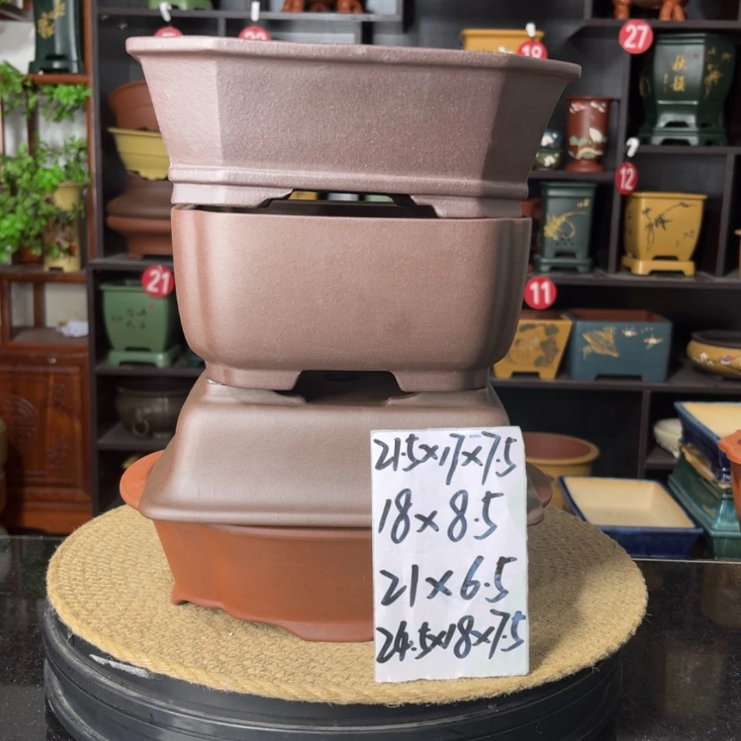 【闪购商品】紫砂15cm以下