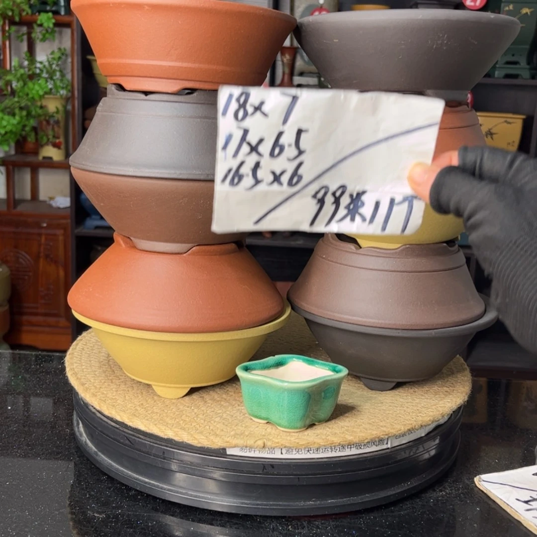 【闪购商品】紫砂15cm以下
