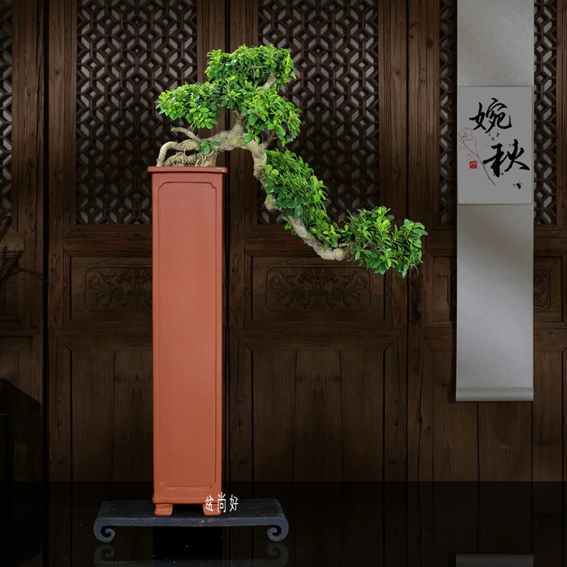宜兴紫砂高四方签筒盆景盆悬崖老桩榕树艺术陶瓷兰花盆客厅雅摆件