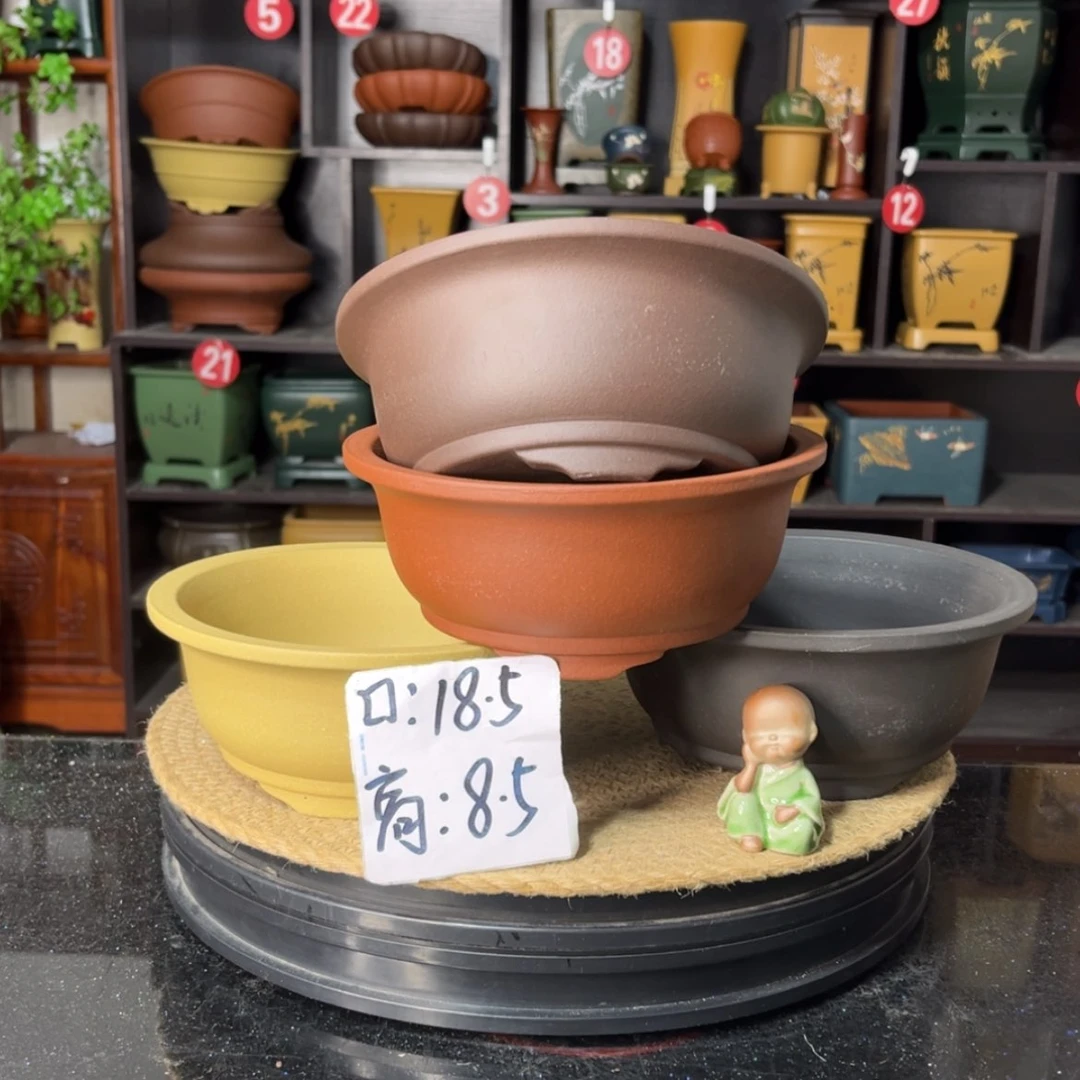 【闪购商品】紫砂15cm以下