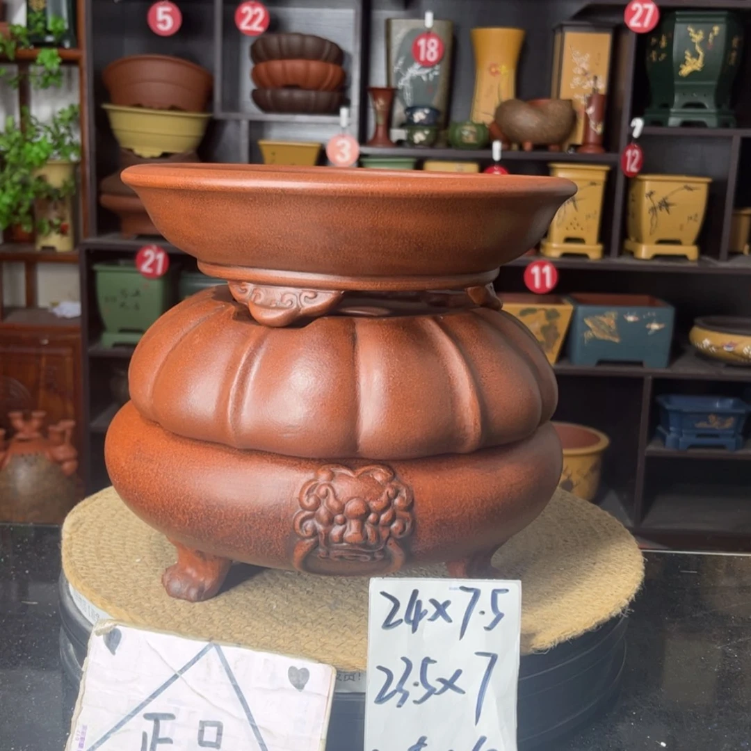 【闪购商品】紫砂15cm以下
