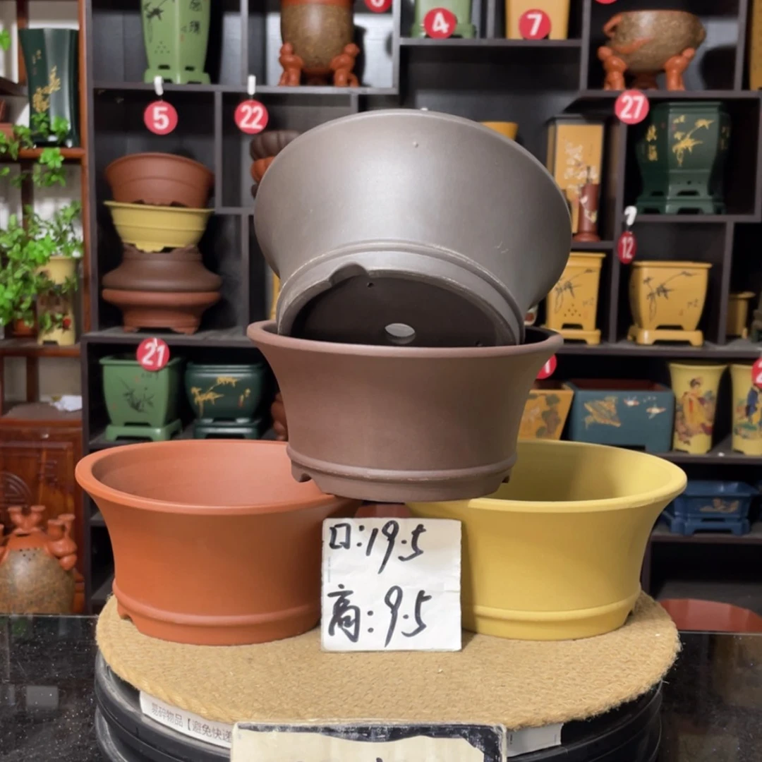 【闪购商品】紫砂15cm以下