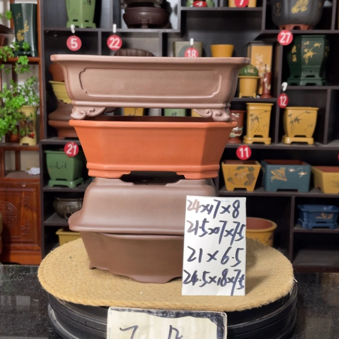 【闪购商品】紫砂15cm以下