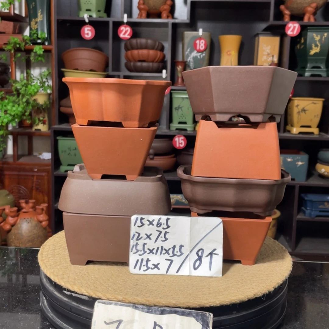 【闪购商品】紫砂15cm以下