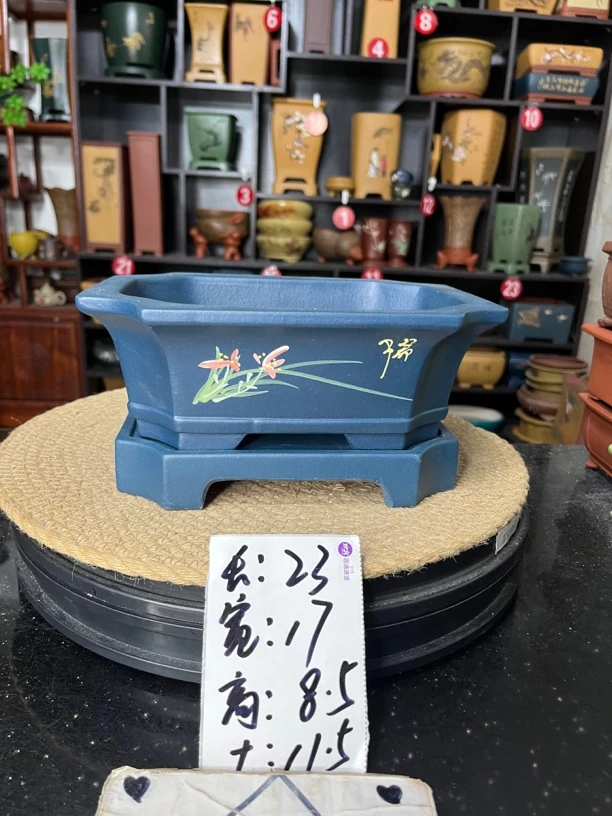 盆尚好花盆1直播链接