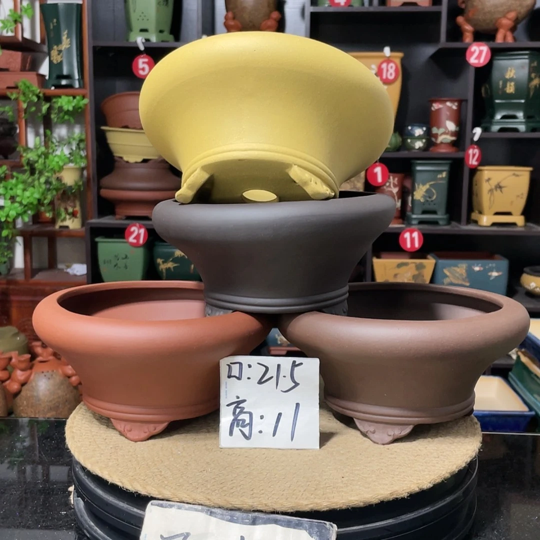 【闪购商品】紫砂15cm以下