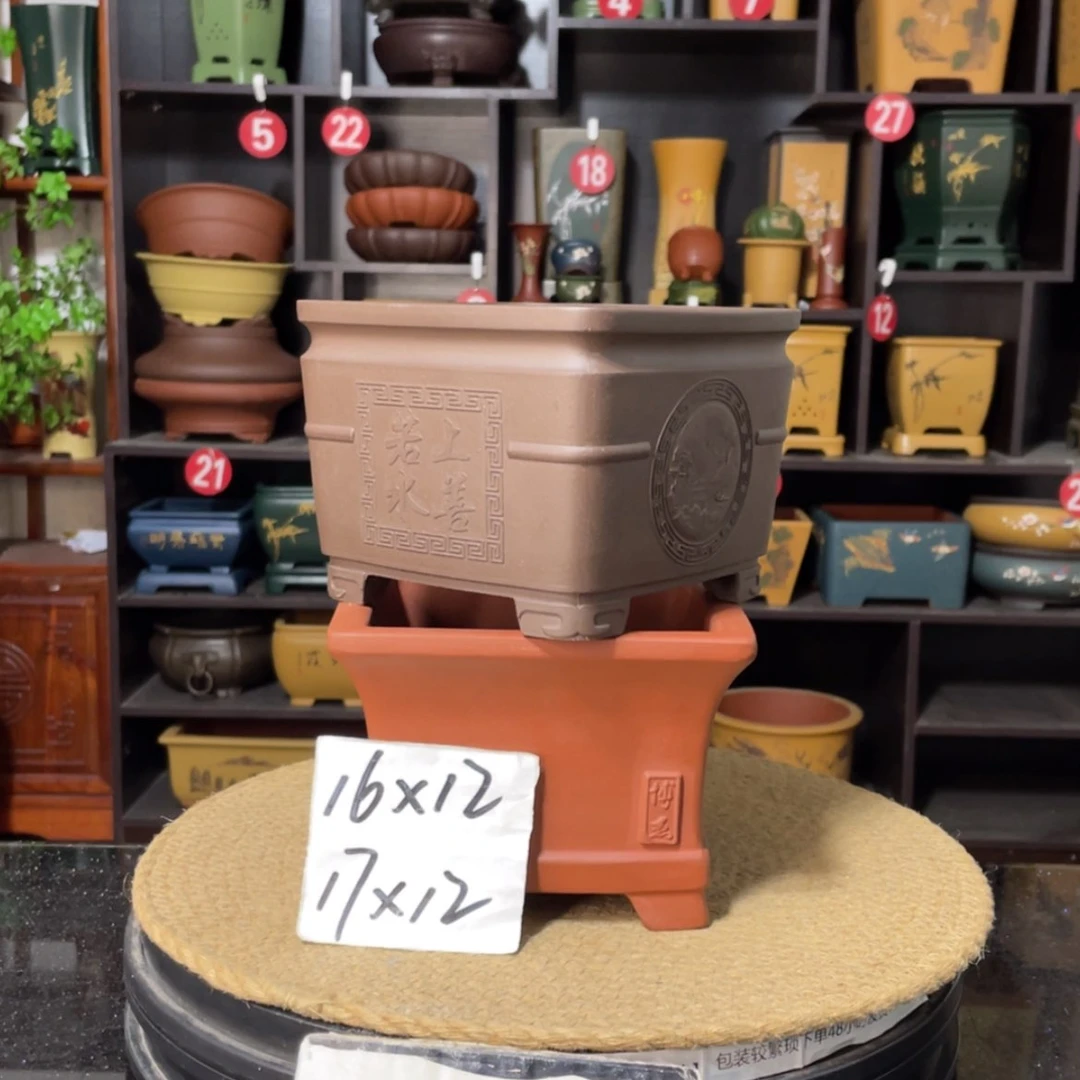 【闪购商品】紫砂15cm以下