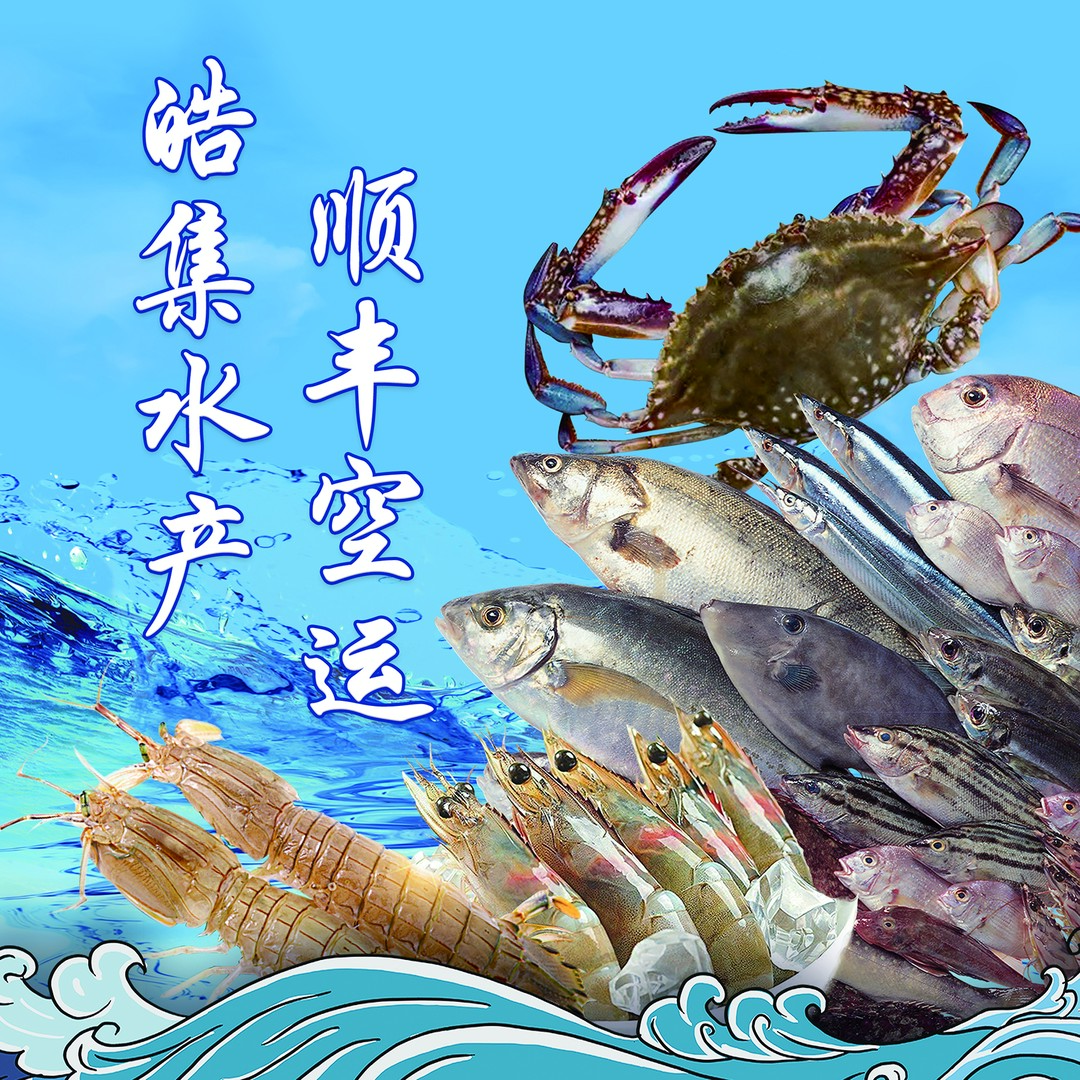 丹东东港满黄蟹 顺风发货 鲜活速冻 保鲜保肥