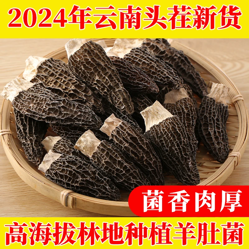 云南特产羊肚菌新货高性价比煲汤食材100g-500g