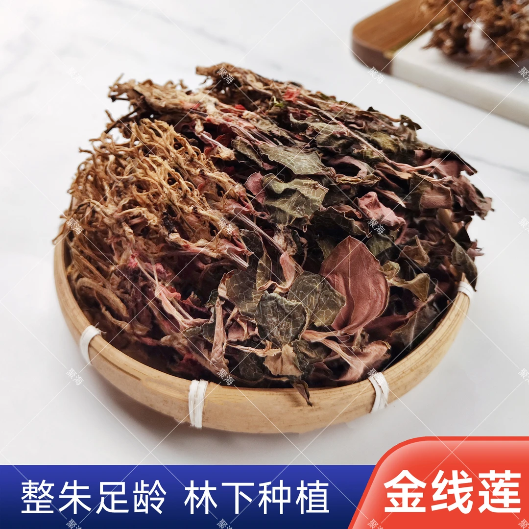 金线莲整株干品叶红茎壮须长精选足干无硫煮茶泡水清香