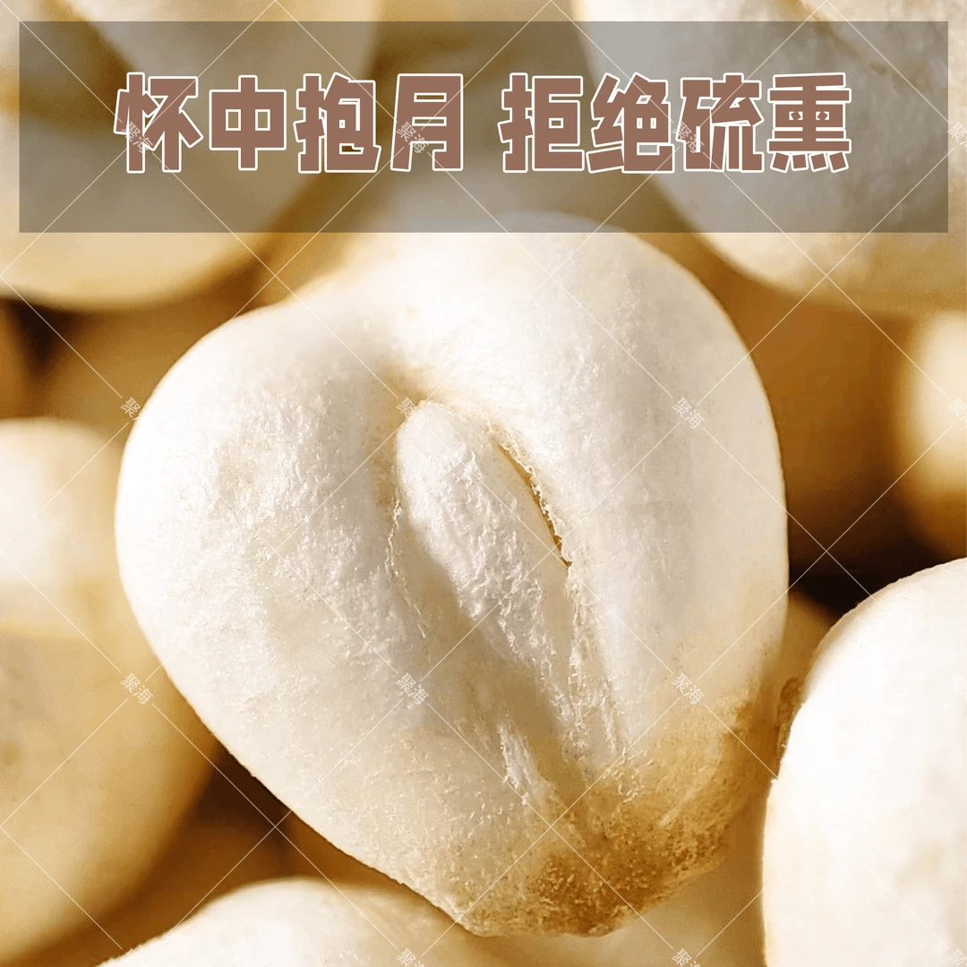 四川野外贝母煮水煲汤糖水营养精选贝母干货