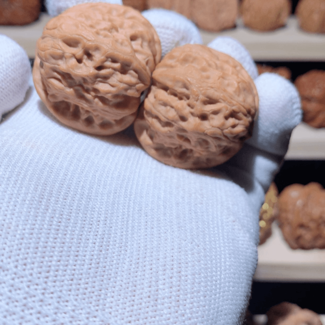 【闪购商品】文玩核桃把件园**吃