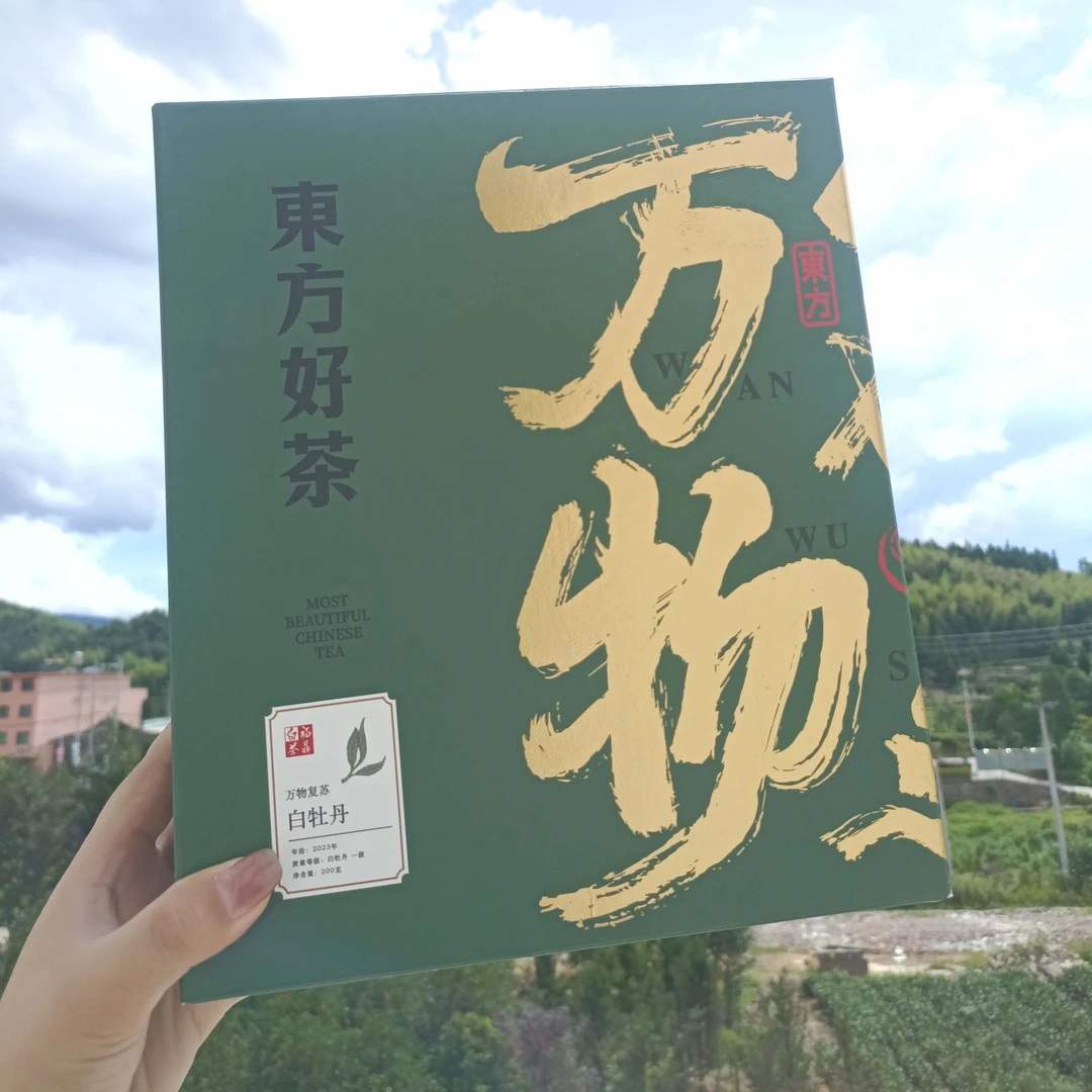 万物复苏2023年一级白牡丹200g装散茶福鼎管阳核心产区春茶生态