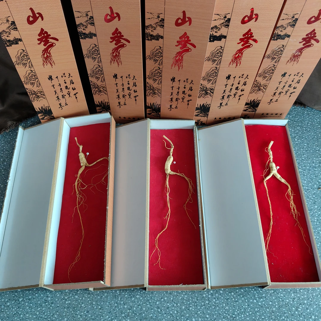 东北人参随手礼小盒装单只送礼单支