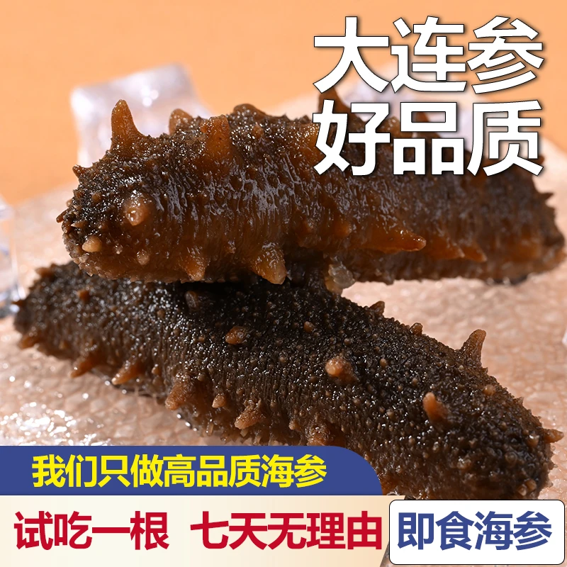 【新号特惠1斤】8-9根即食海参大连原产地发货支持试吃