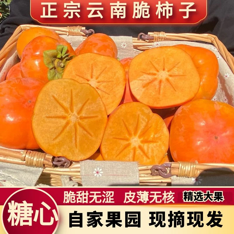 【云南高山次郎脆柿子】2025年 新鲜保山现摘先发 生态种植健康美味