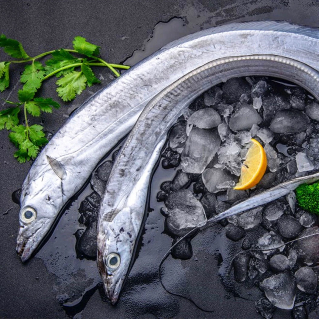 整条新鲜急冻小眼带鱼5斤（一斤3/4条左右）连云港发货