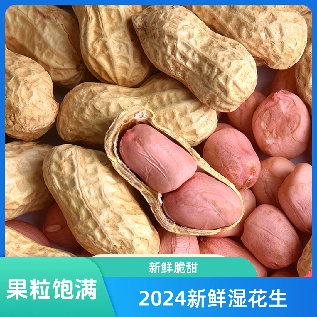【2024上市高品质新鲜湿花生】明光小白沙花生红皮花生带壳颗粒挑选