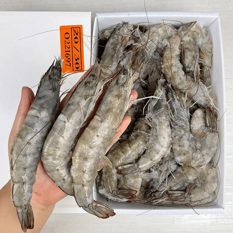 连云港 2030海洋大虾 整盒盒装发货1027饱满