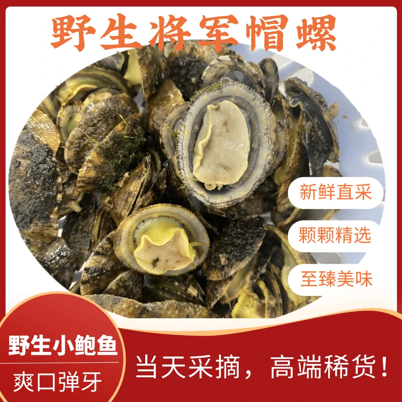 【当天采集】阳江野生新鲜采摘将军帽野生小鲍鱼清蒸蒜蓉蒸500g