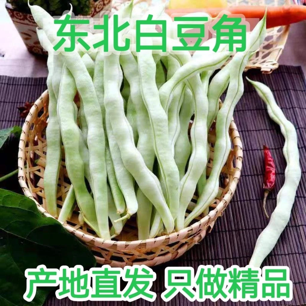 【云南发货】白大架白豆角白芸豆九粒白新鲜发货3斤5斤包邮