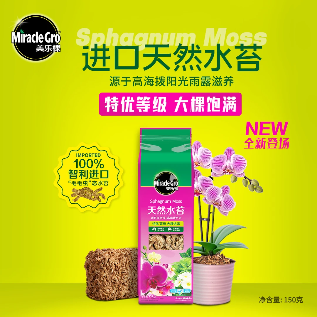 干水苔藓进口蝴蝶兰花铺面土食虫植物水台盆面保湿水草国兰种植