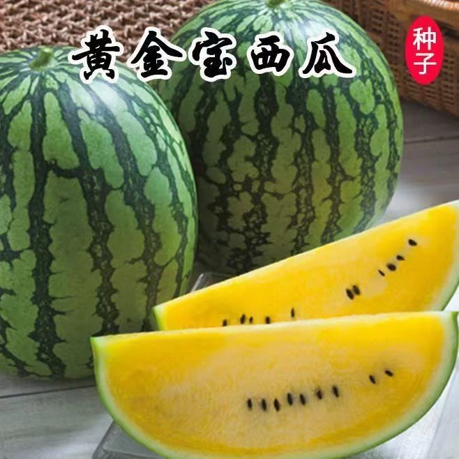 【全店满6包包邮】【143】黄心西瓜种子