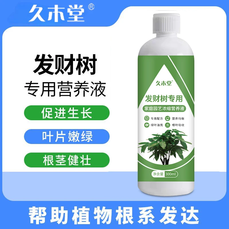 发财树专用绿植园艺发财树专用营养液生根疏松土培适用植物营养液