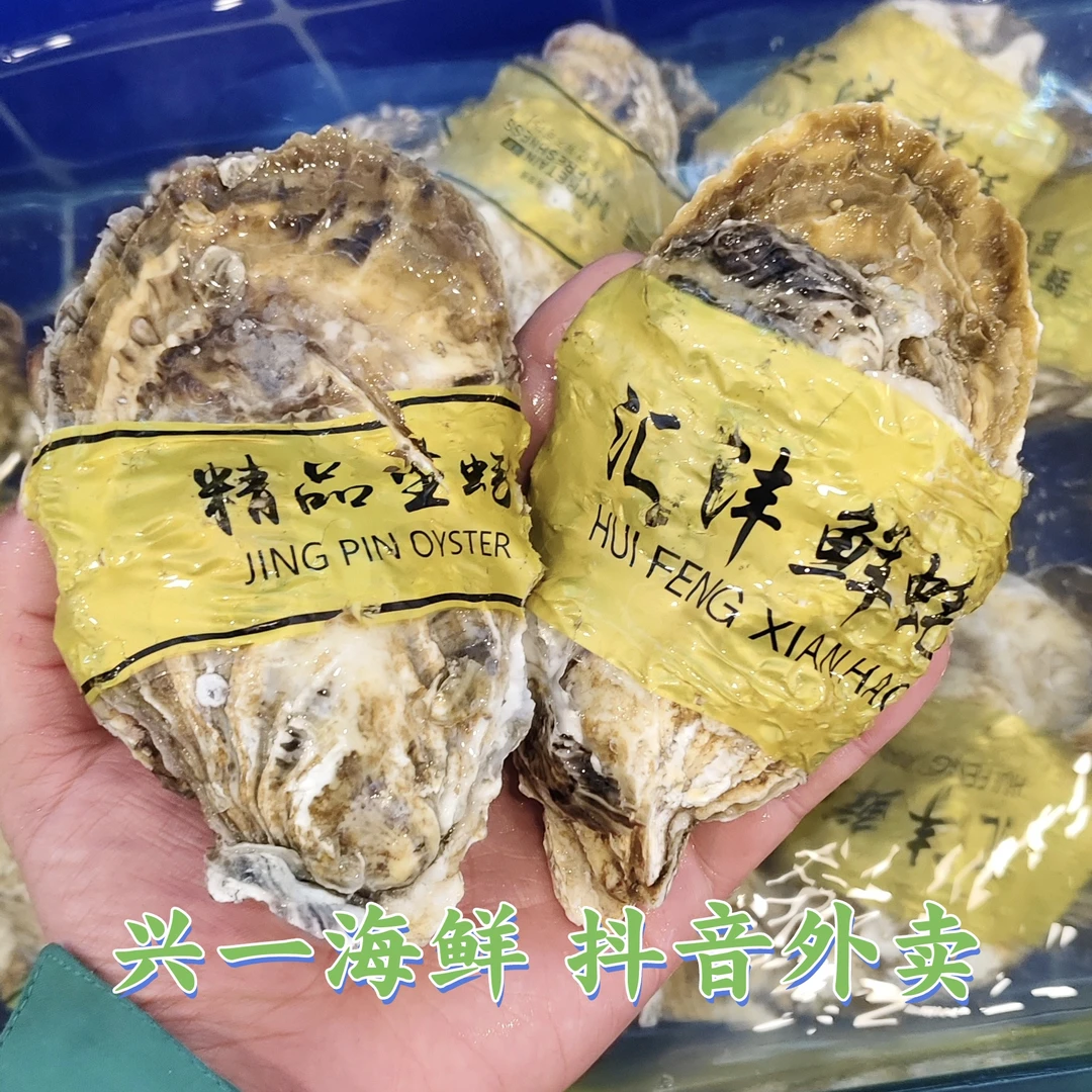 乳山生蚝中大号10只  (包开包肥) 5➕。甘肃省内次日达