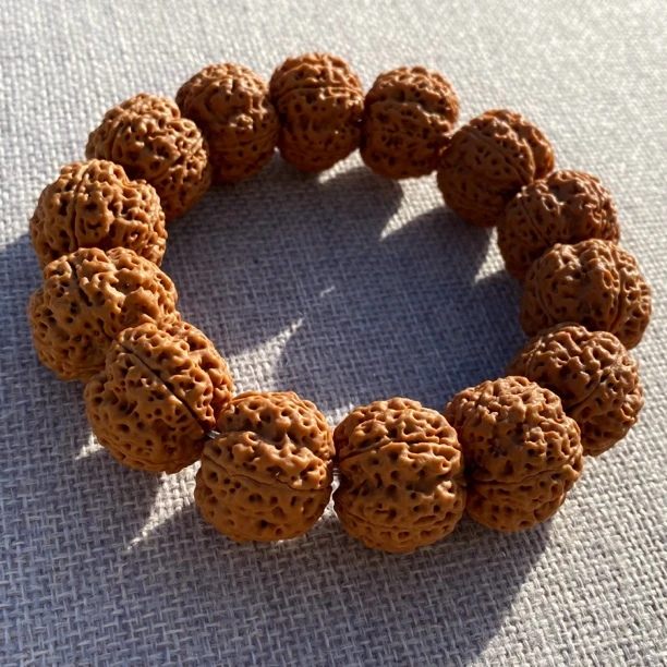 H5-21尼泊尔大金刚巨肉梅花双龙金刚菩提男士