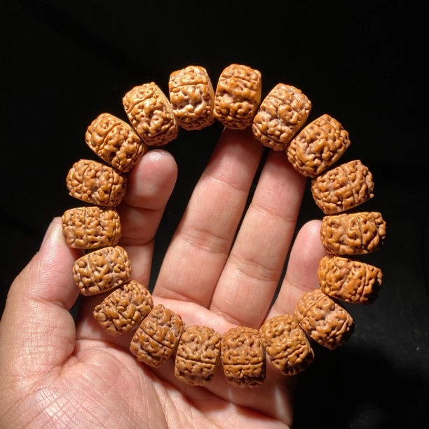 M3暴油帝龙 哥地利盘龙王小金刚菩提大尺寸龙切手串