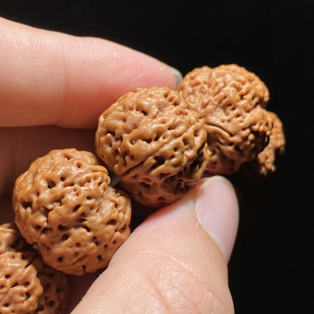 A3-20尼泊尔金刚菩提五瓣粗筋梅花双龙纹大金刚菩提单串