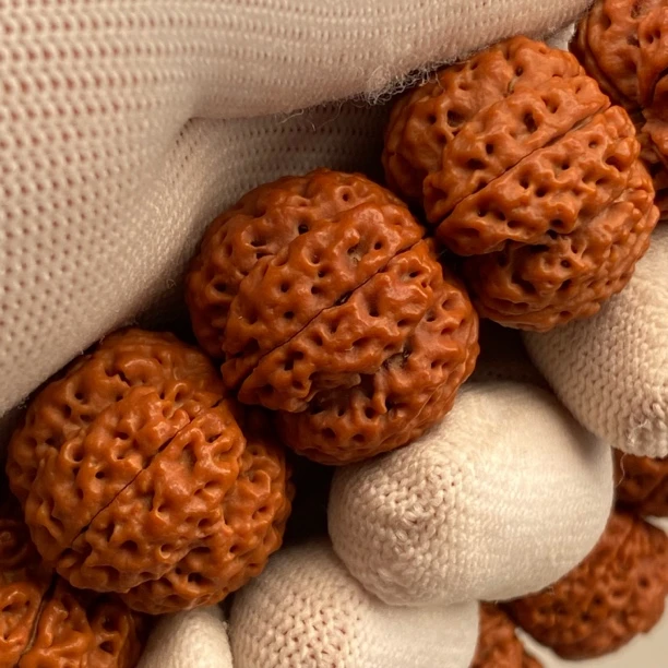 A301尼泊尔泰坦蜂王巨肉菠萝蜜大金刚文玩金刚菩提手串