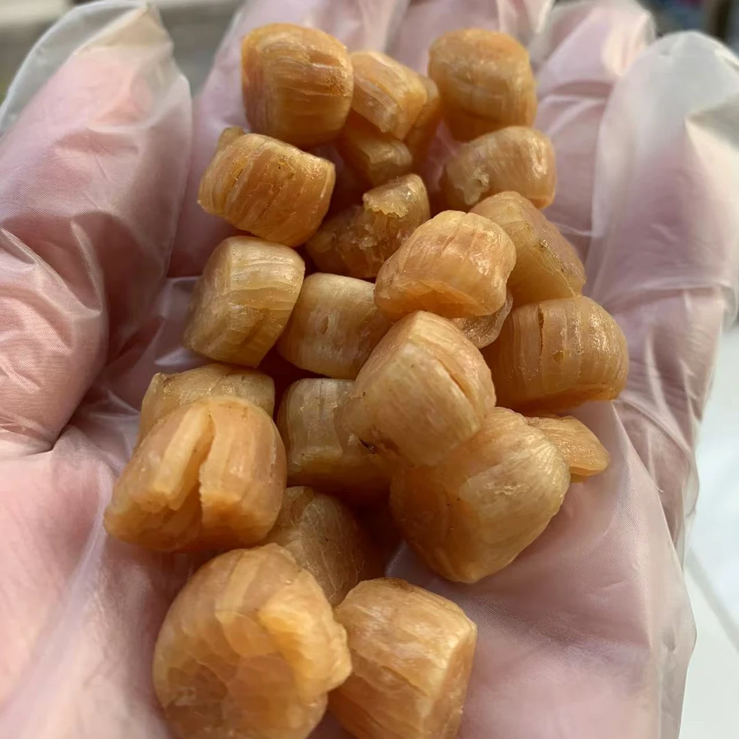 舟船 瑶柱天花板元贝 足干