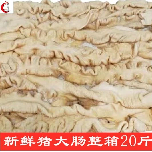 新鲜猪大肠 肥肠乾净免洗 生鲜大肠整箱20斤商用面馆饭店食材