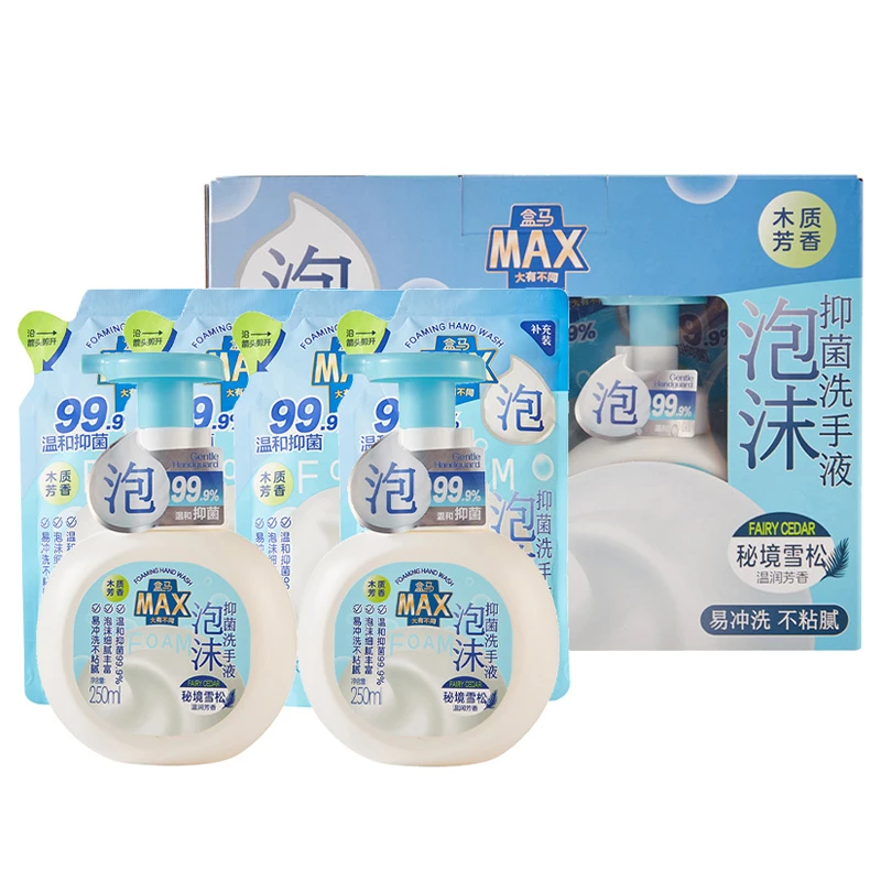 盒马MAX泡沫抑菌洗手液（秘境雪松）250mI*2+补充装200mI*4易冲洗