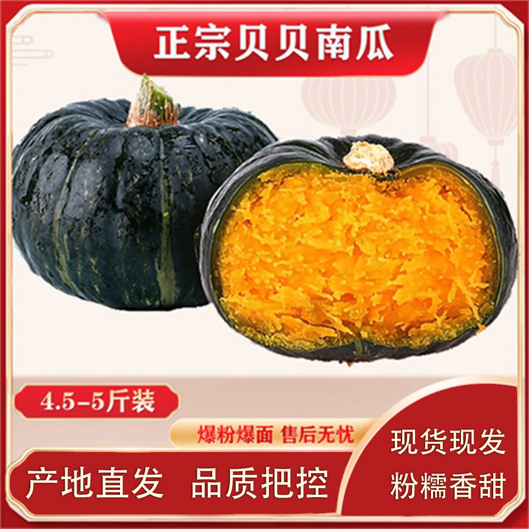 正宗贝贝南瓜4.5斤装 粗粮粉面 小甜贝贝 甜糯细腻 家庭装