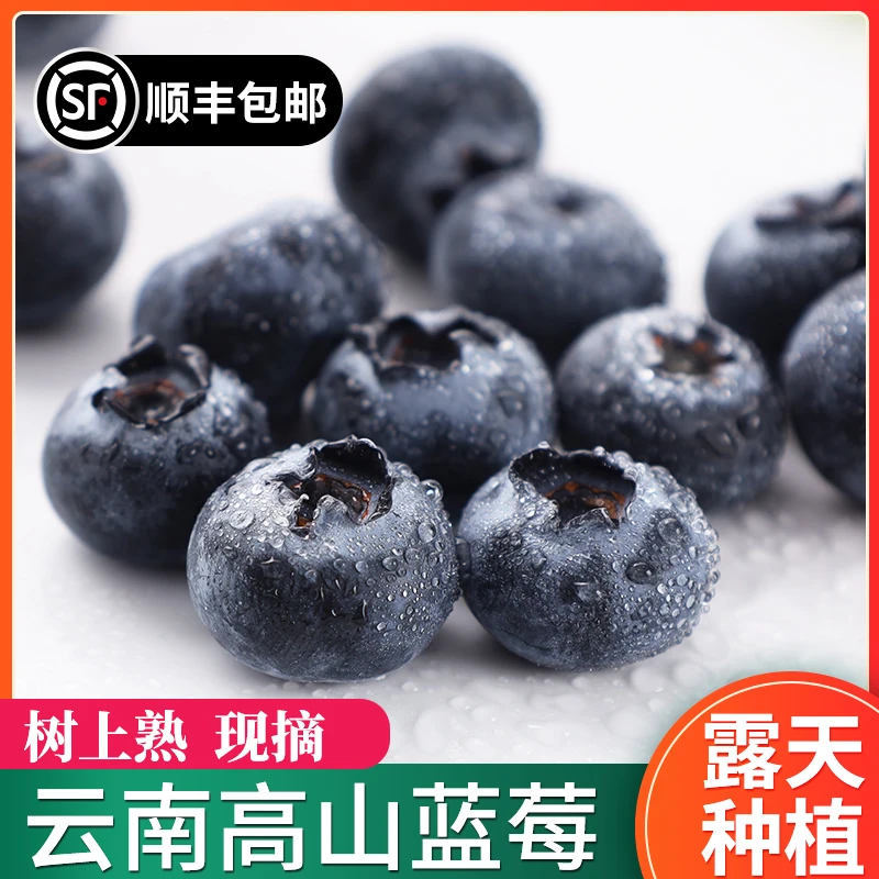 【正宗云南25花香蓝莓】澄江抚仙湖新鲜现摘 高原生态水果顺丰包邮