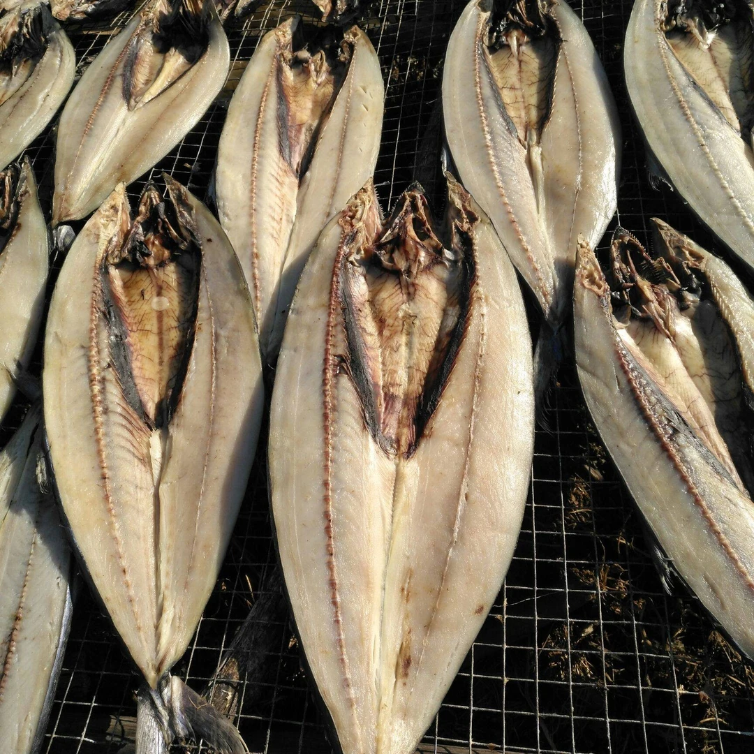 一卤鲜鲅鱼干马鲛鱼干半干鲅鱼
