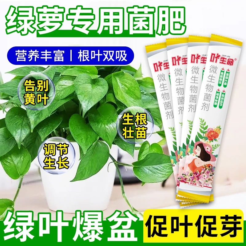 绿萝专用菌剂绿萝促长增加叶绿素促进黄叶返绿改善烂根烂叶专用肥