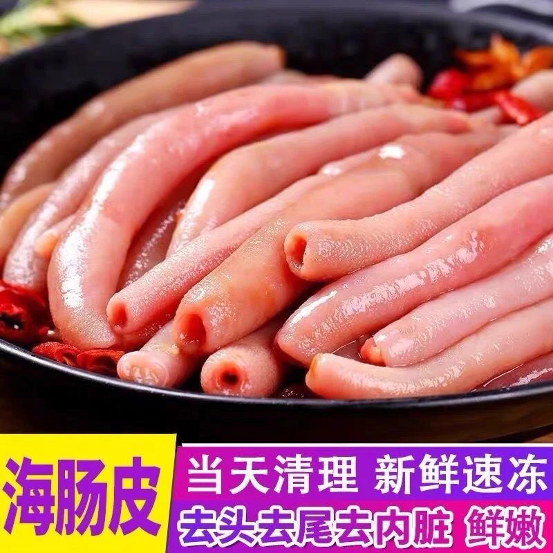 连云港特产野生海肠新鲜冷冻海肠皮海肠子去头去尾去内脏商用