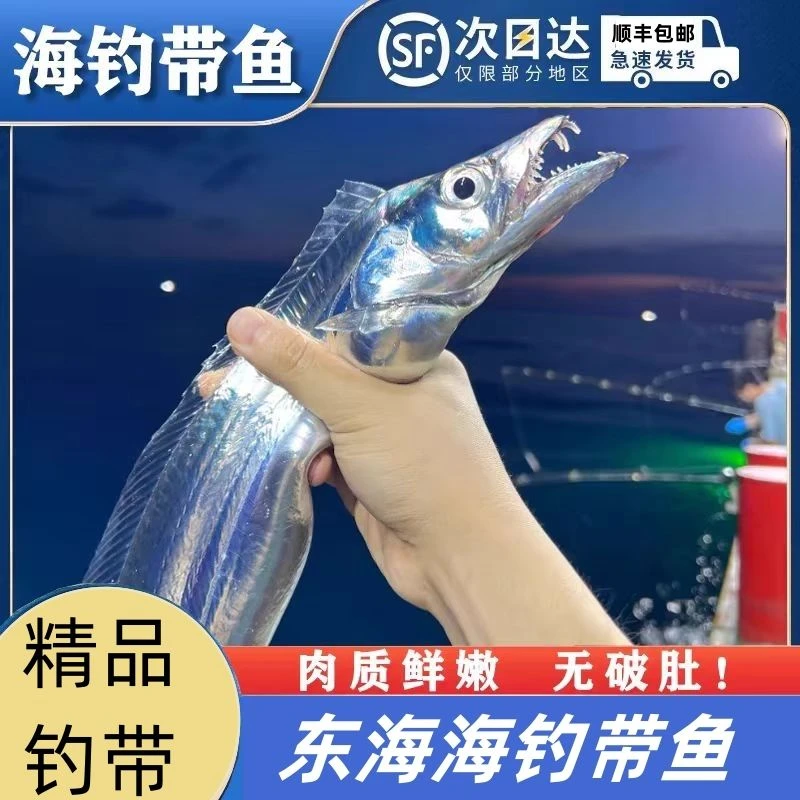 野生海捕黑眼油带鱼【单条一斤到一斤半左右】共5斤鲜鱼速冻发货
