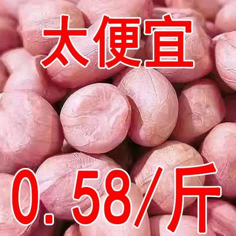 5斤特价 新货现剥精选无壳白沙花生米粉红皮新鲜生花生米批发10g