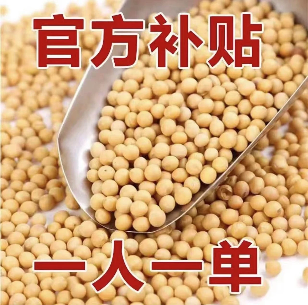 【5斤特价】东北能发豆芽的黄豆发黄豆芽专用豆黑龙江省黄豆
